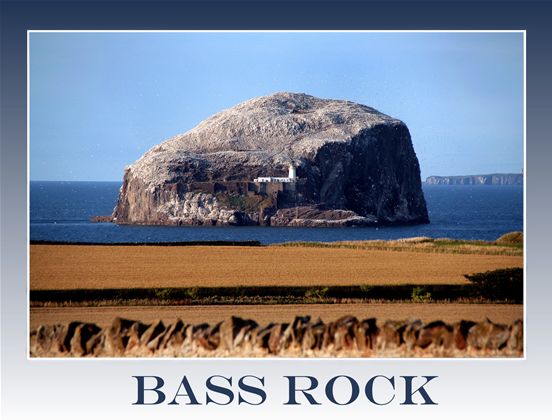 Schottland Bass Rock Vogelfelsen